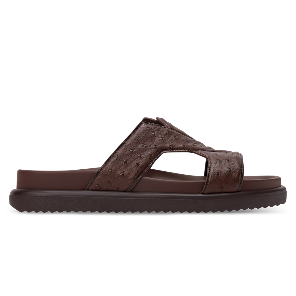 LV Oasis Mule Brown